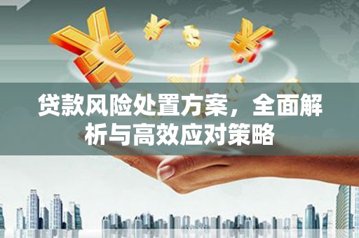 遵化贷款风险处置方案，全面解析与高效应对策略