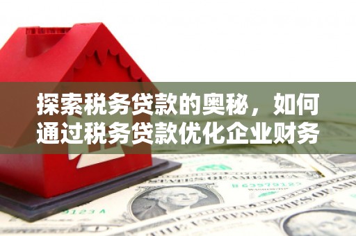 遵化探索税务贷款的奥秘，如何通过税务贷款优化企业财务
