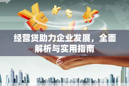 遵化经营贷助力企业发展，全面解析与实用指南
