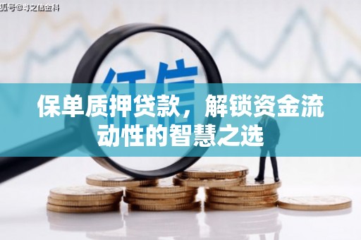 遵化保单质押贷款，解锁资金流动性的智慧之选