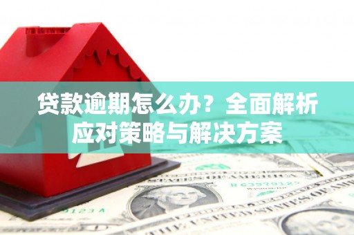 遵化贷款逾期怎么办？全面解析应对策略与解决方案