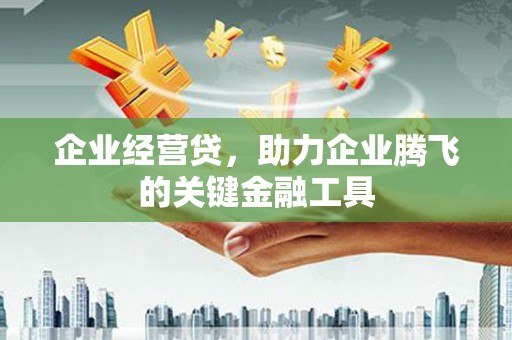 遵化企业经营贷，助力企业腾飞的关键金融工具