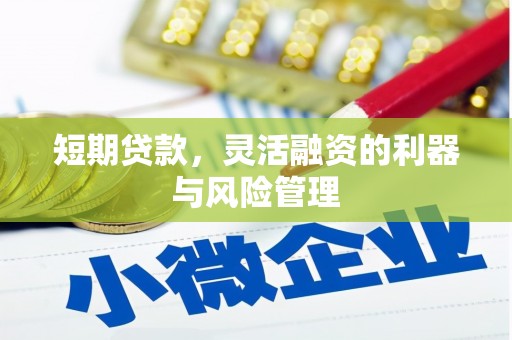 遵化短期贷款，灵活融资的利器与风险管理