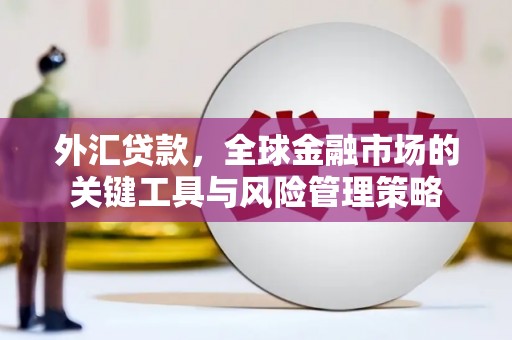遵化外汇贷款，全球金融市场的关键工具与风险管理策略