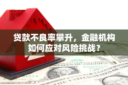 遵化贷款不良率攀升，金融机构如何应对风险挑战？