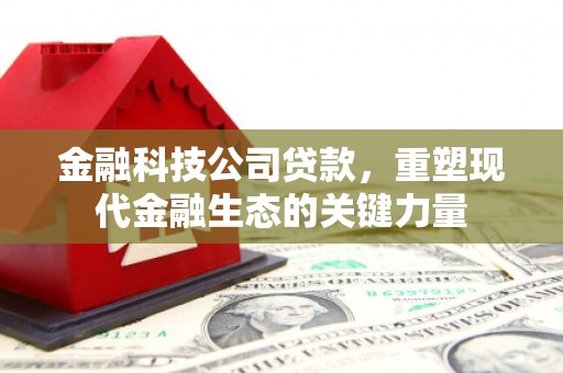 遵化金融科技公司贷款，重塑现代金融生态的关键力量