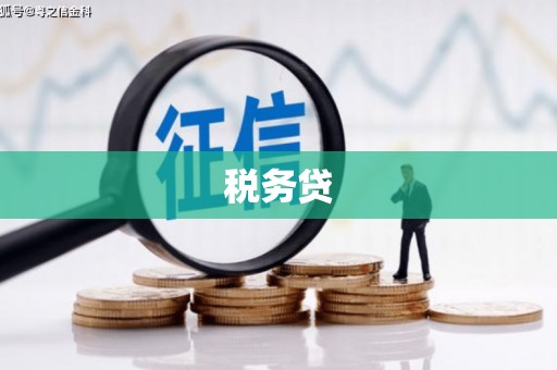 遵化税务贷