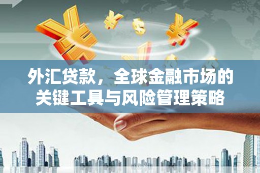 遵化外汇贷款，全球金融市场的关键工具与风险管理策略