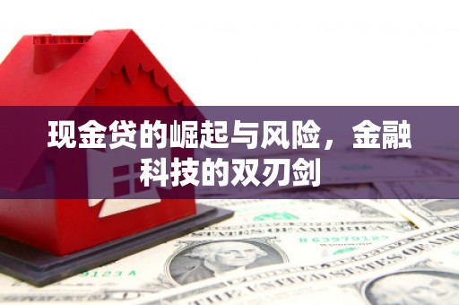 遵化现金贷的崛起与风险，金融科技的双刃剑