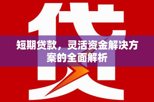 遵化短期贷款，灵活资金解决方案的全面解析