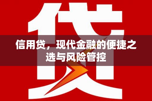 遵化信用贷，现代金融的便捷之选与风险管控