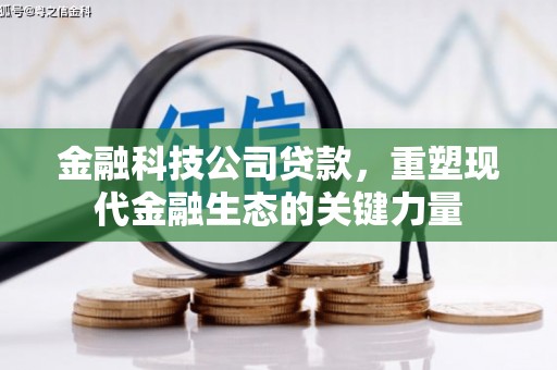 遵化金融科技公司贷款，重塑现代金融生态的关键力量
