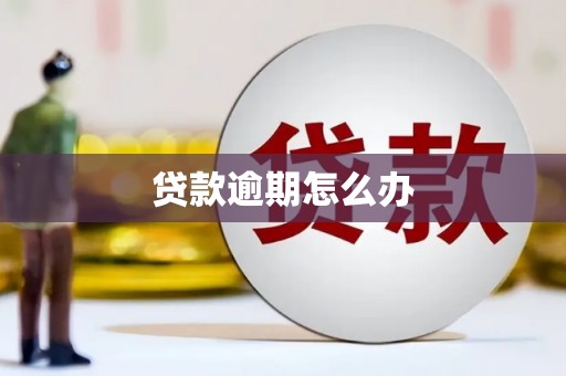 遵化贷款逾期怎么办