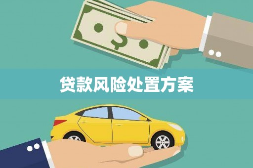 遵化贷款风险处置方案