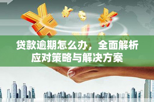 遵化贷款逾期怎么办，全面解析应对策略与解决方案