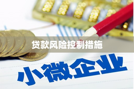 遵化贷款风险控制措施