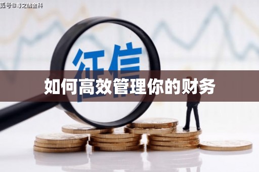 遵化如何高效管理你的财务