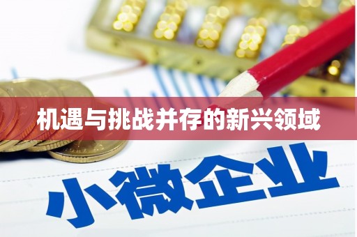 遵化机遇与挑战并存的新兴领域