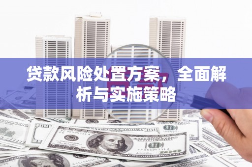 遵化贷款风险处置方案，全面解析与实施策略